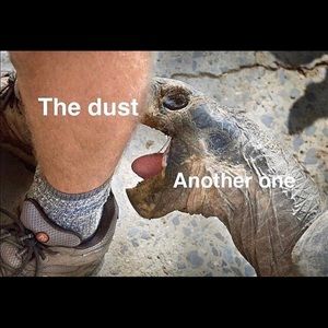 Meet your Posher, Corey